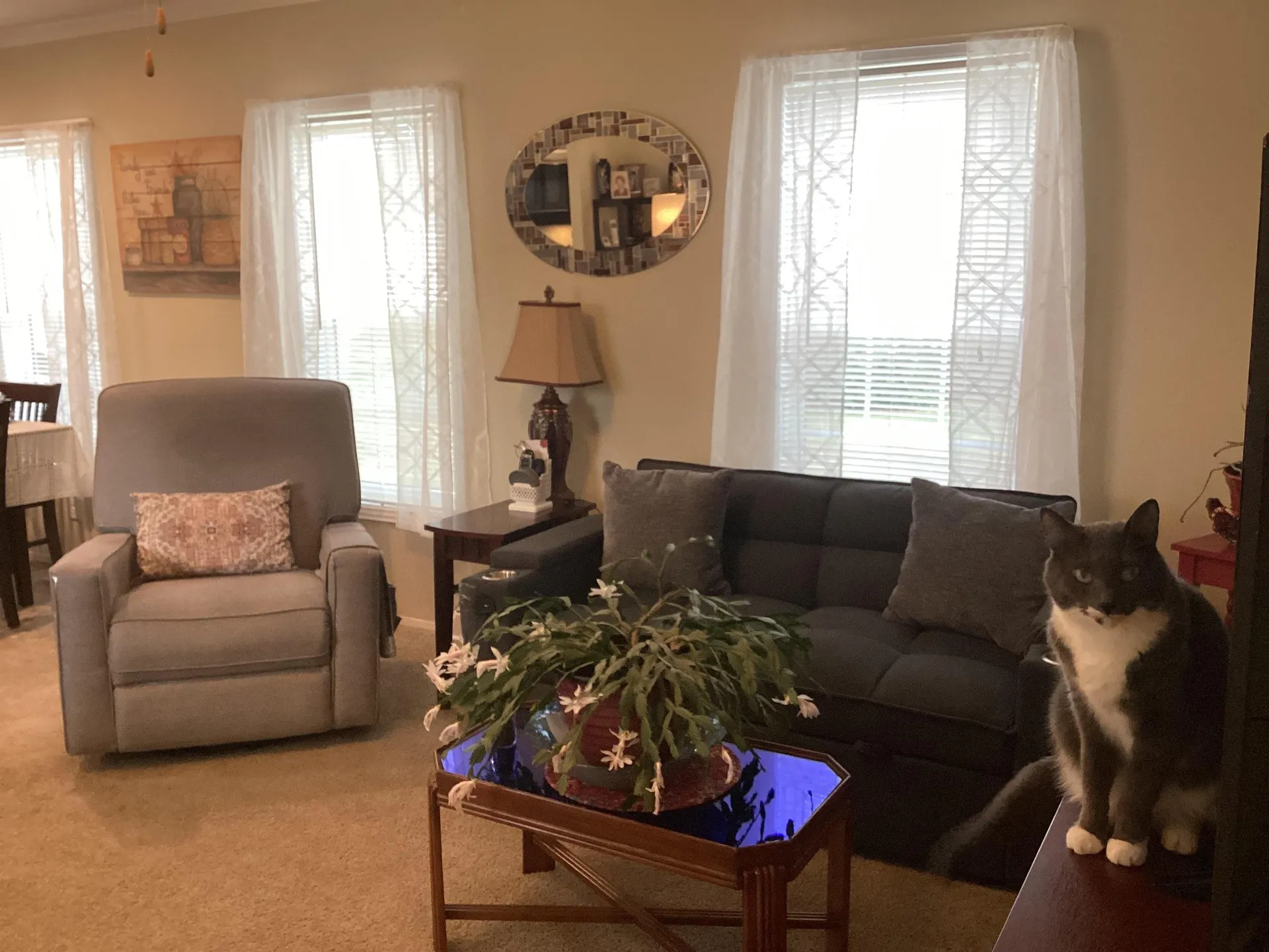 7 Woodland Park Troy NH 03465