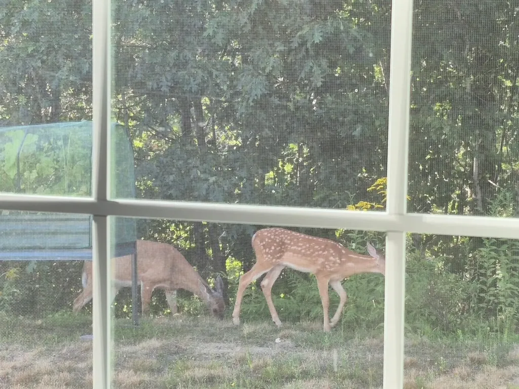 12 Tarah Way Fremont NH 03044