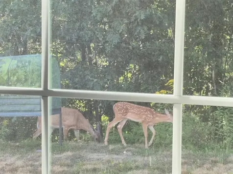 12 Tarah Way Fremont NH 03044