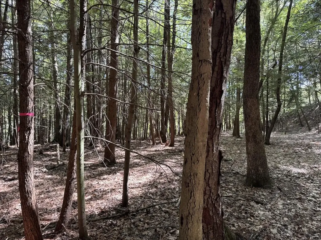 Lot 20 -20.3 Farr Road Chesterfield NH 03466