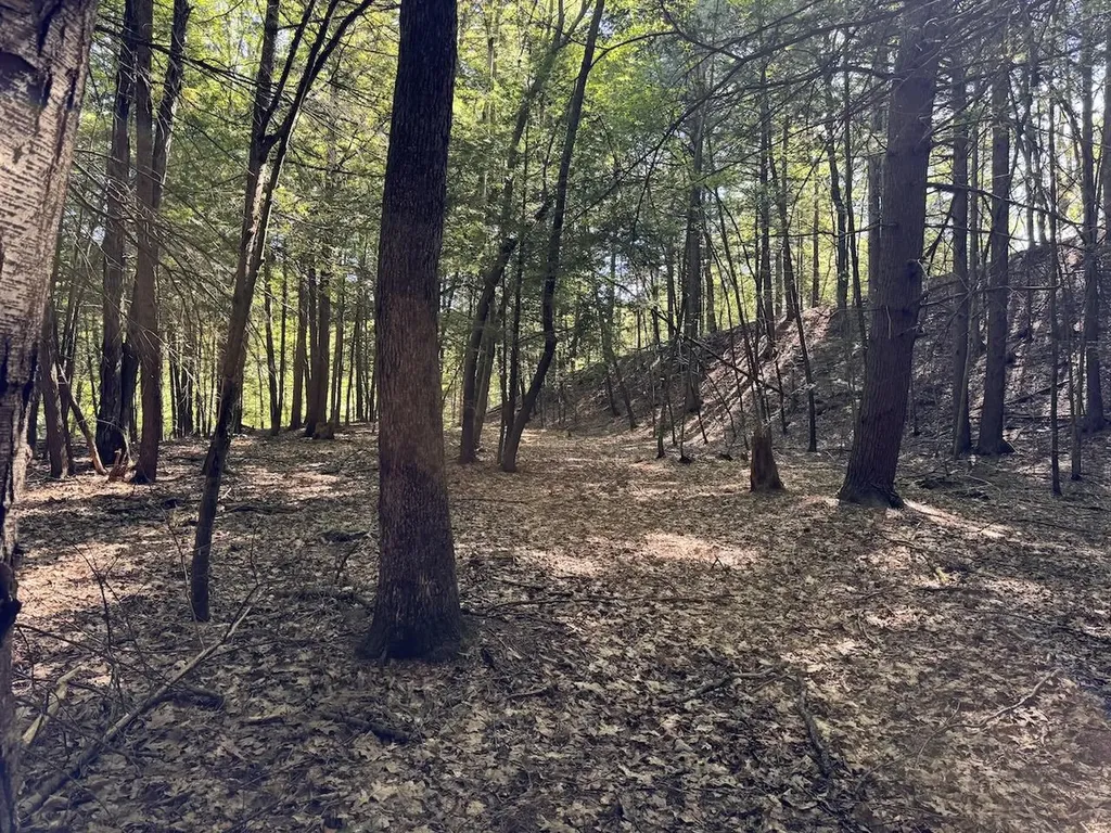 Lot 20 -20.3 Farr Road Chesterfield NH 03466