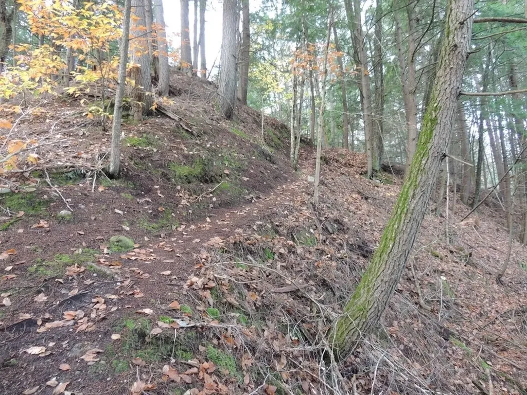 Lot 20 -20.3 Farr Road Chesterfield NH 03466