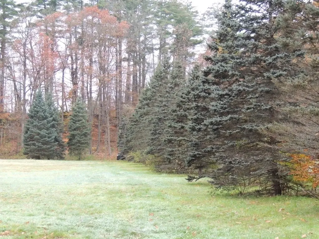 Lot 20 -20.3 Farr Road Chesterfield NH 03466