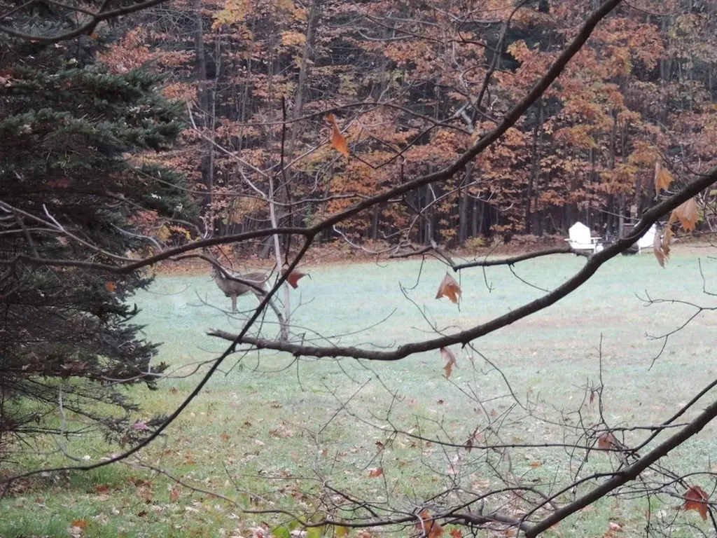 Lot 20 -20.3 Farr Road Chesterfield NH 03466