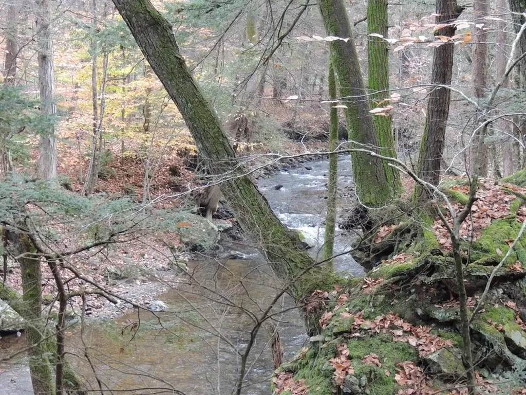 Lot 20 -20.3 Farr Road Chesterfield NH 03466