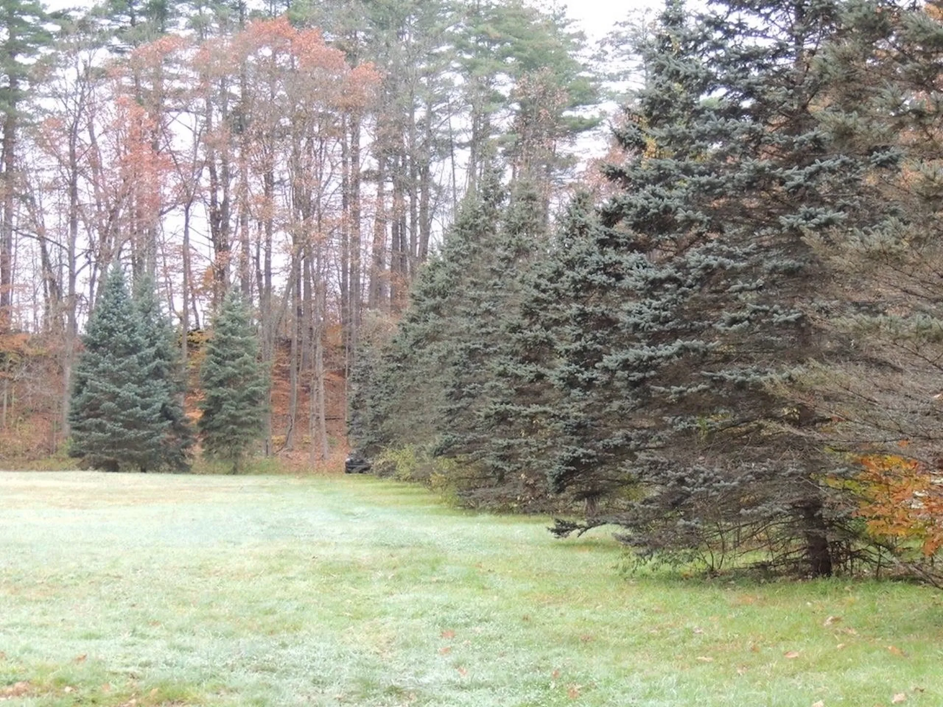 Lot 20 -20.3 Farr Road Chesterfield NH 03466