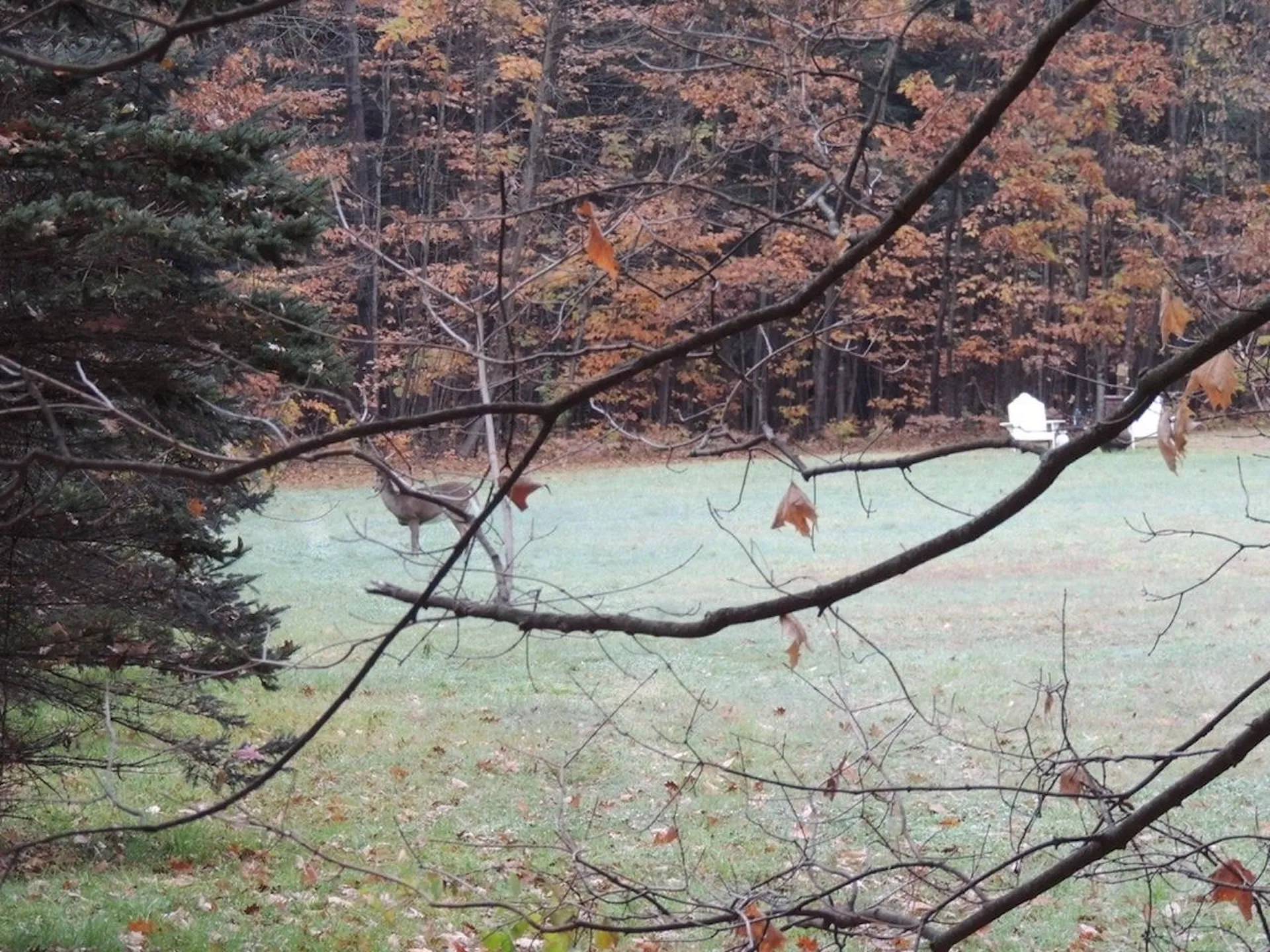 Lot 20 -20.3 Farr Road Chesterfield NH 03466