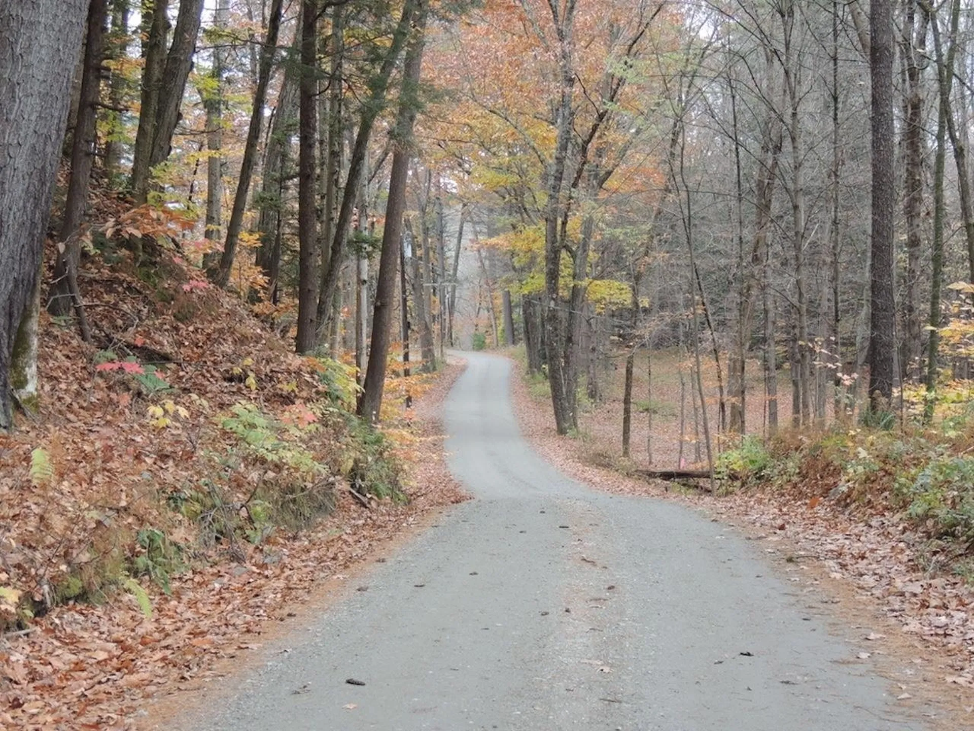 Lot 20 -20.3 Farr Road Chesterfield NH 03466