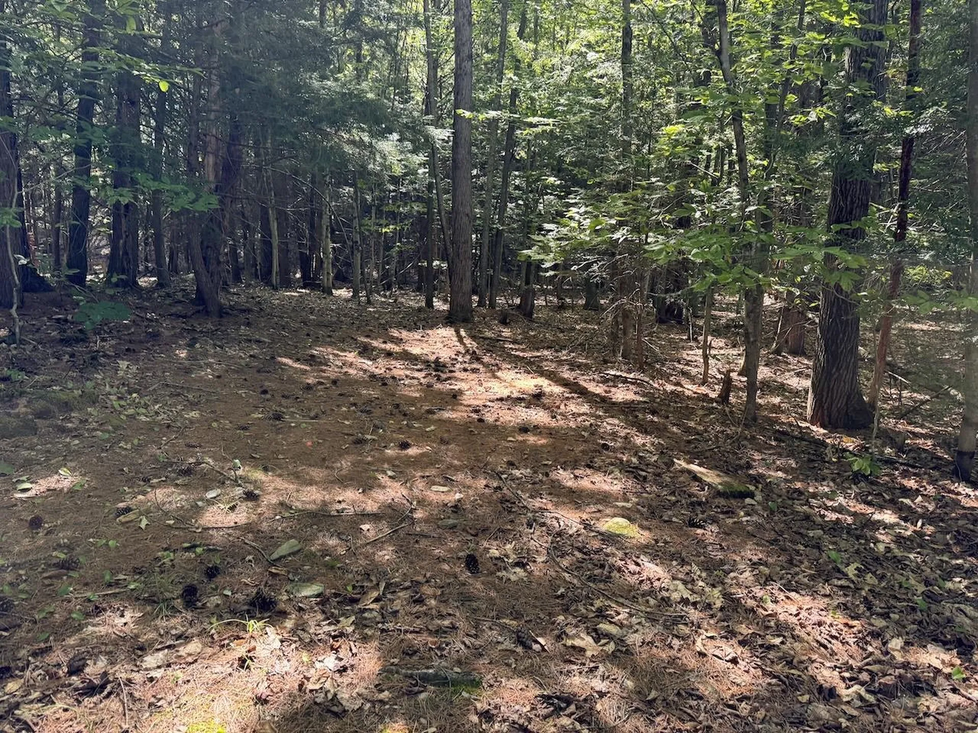 Lot 20 -20.3 Farr Road Chesterfield NH 03466