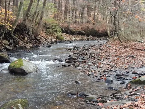 Lot 20 -20.3 Farr Road Chesterfield NH 03466