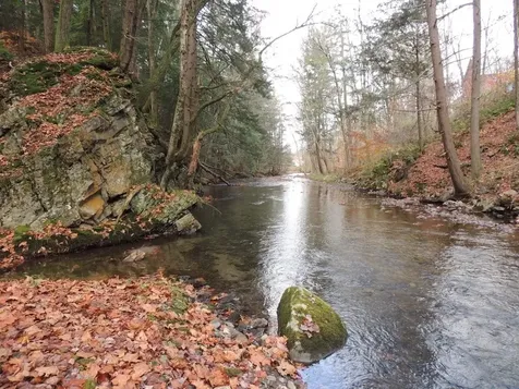 Lot 20 -20.3 Farr Road Chesterfield NH 03466