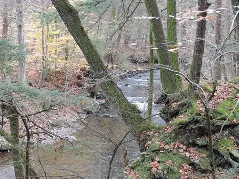 Lot 20 -20.3 Farr Road Chesterfield NH 03466