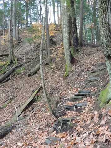 Lot 20 -20.3 Farr Road Chesterfield NH 03466