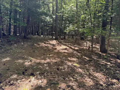 Lot 20 -20.3 Farr Road Chesterfield NH 03466