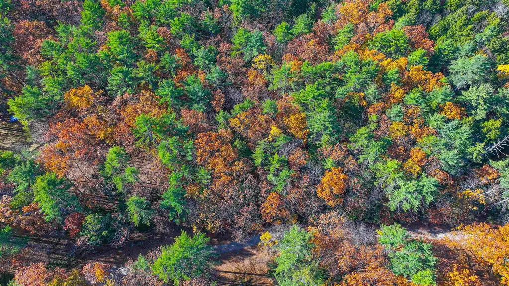 77 Fuller Lane Denmark ME 04022