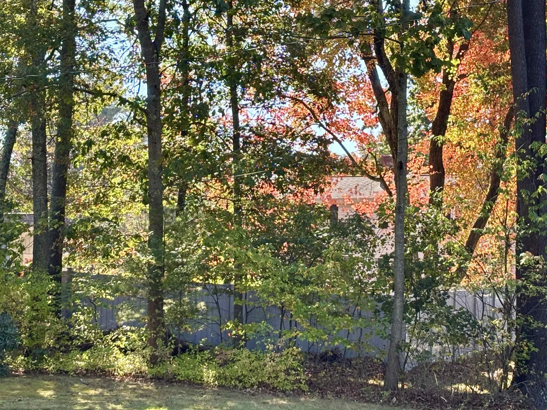 10 Townsend Avenue Salem NH 03079