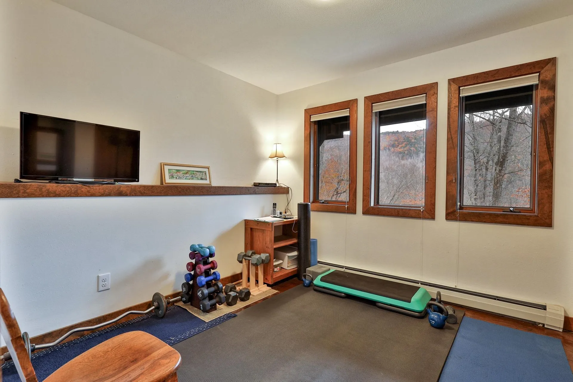 559 Crimson Hawk Road Plymouth VT 05056