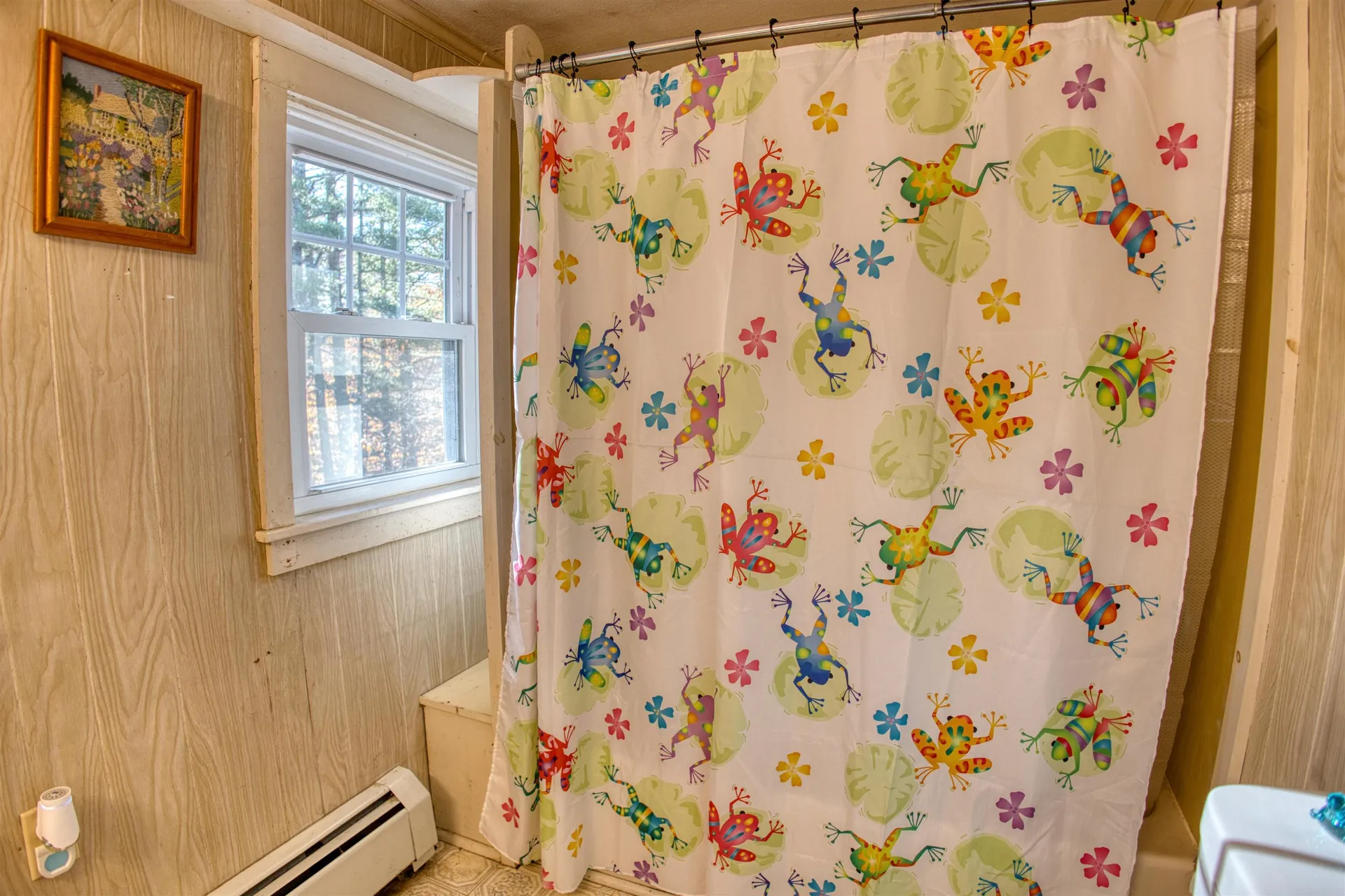 55 Pine River Road Effingham NH 03882