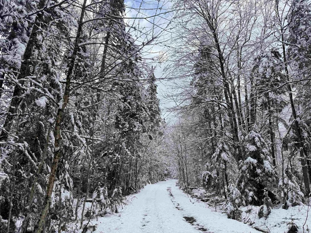 3563 East Branch Road Averill VT 05901