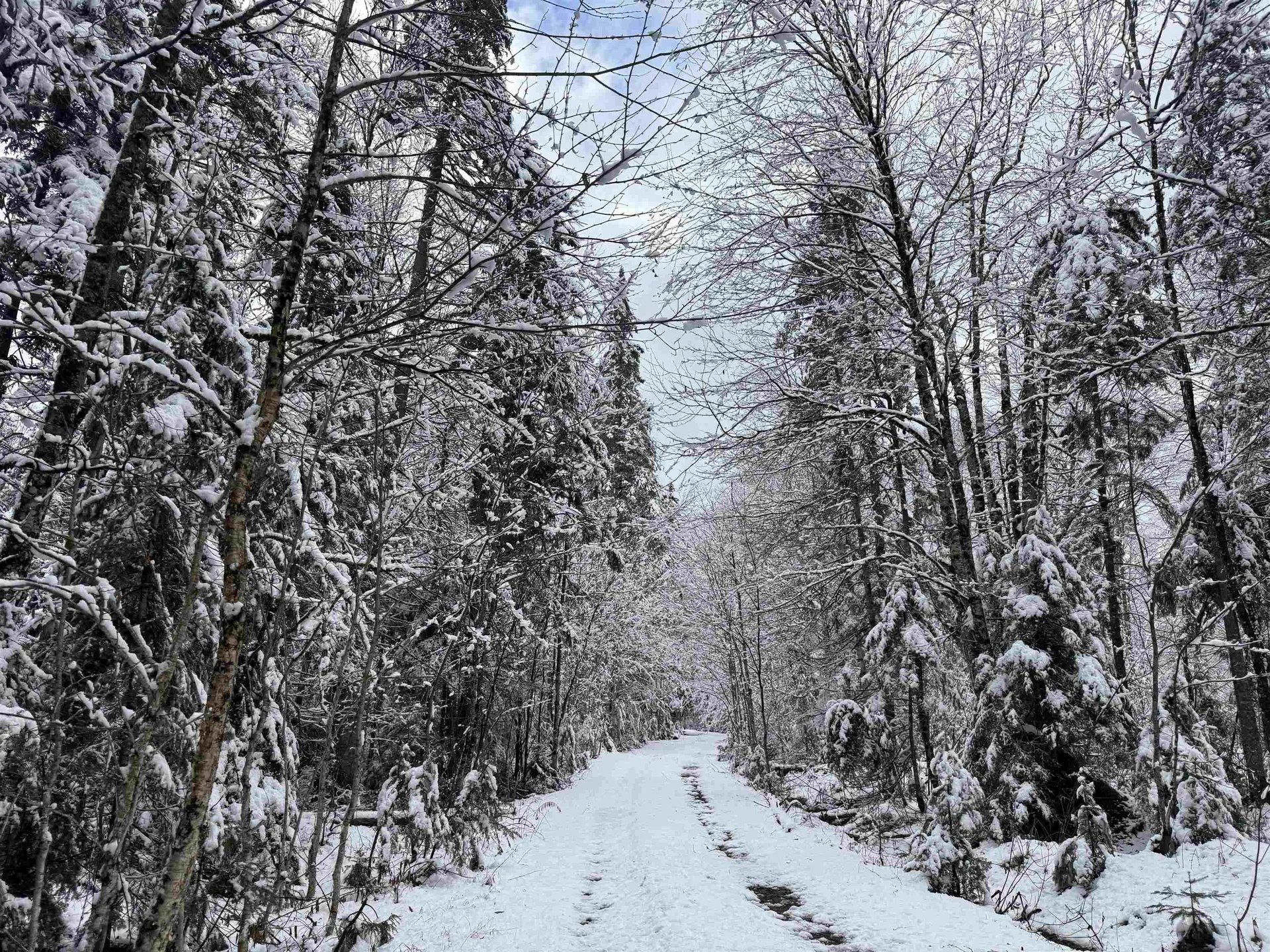 3563 East Branch Road Averill VT 05901