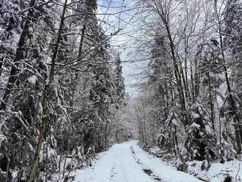 3563 East Branch Road Averill VT 05901