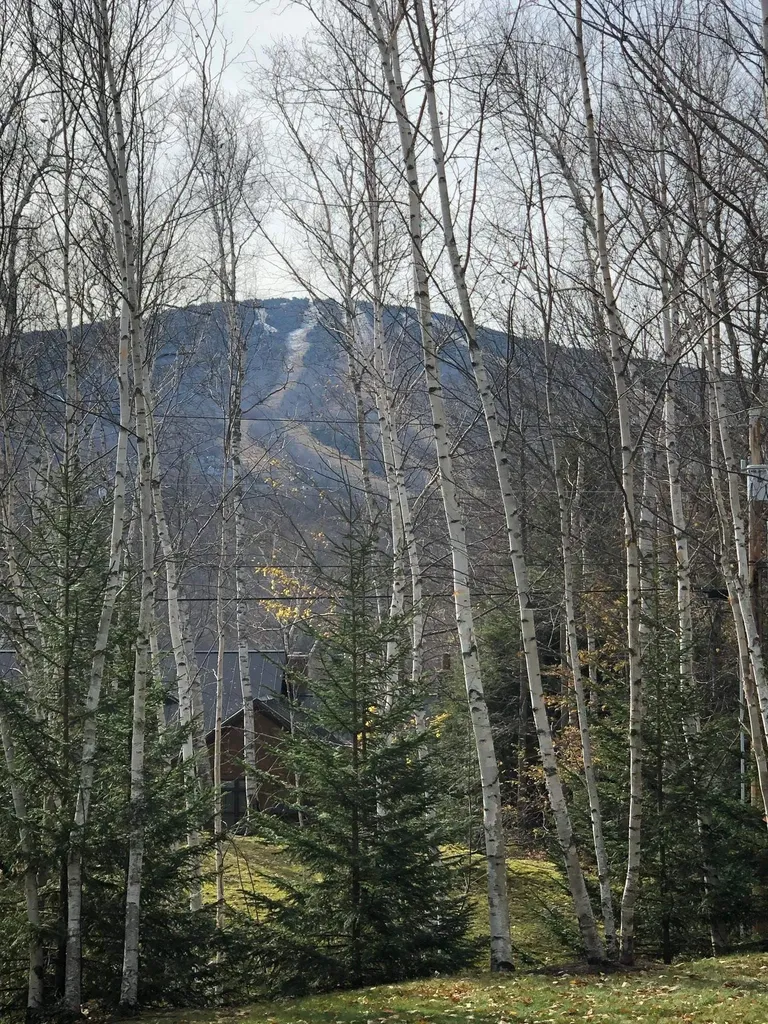 14 Stone House Road Winhall VT 05340