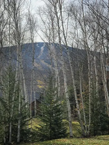 14 Stone House Road Winhall VT 05340