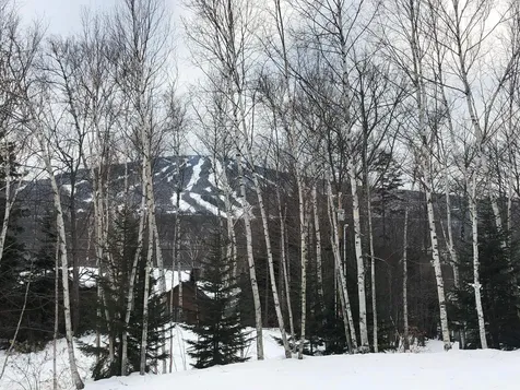 14 Stone House Road Winhall VT 05340