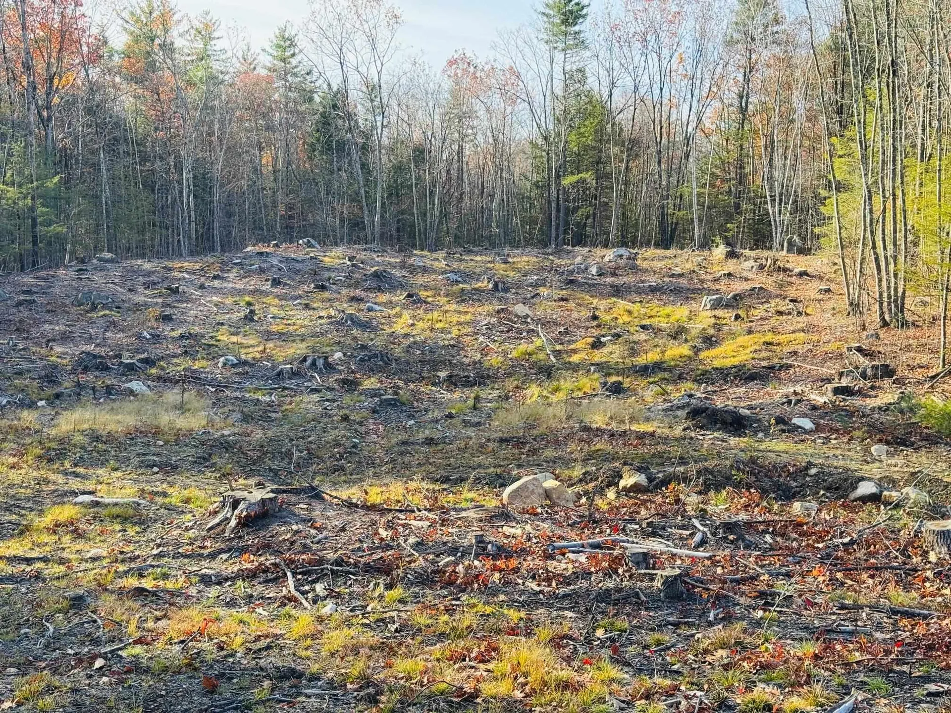 Lot 77 Homestead Lane Barrington NH 03825