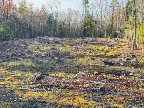 Lot 77 Homestead Lane Barrington NH 03825