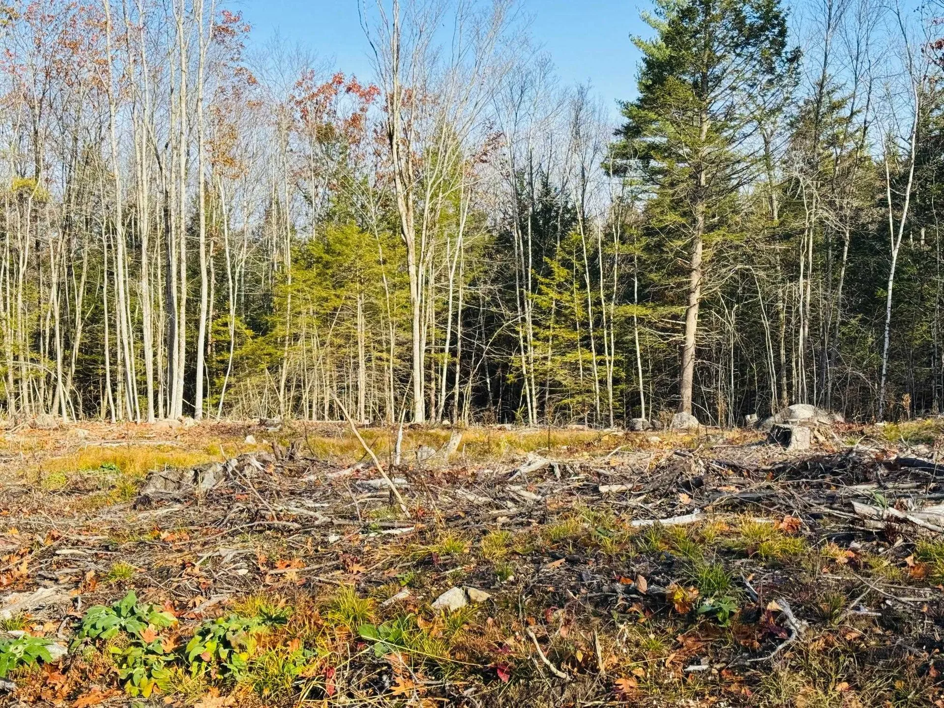 Lot 70 Homestead Lane Barrington NH 03825