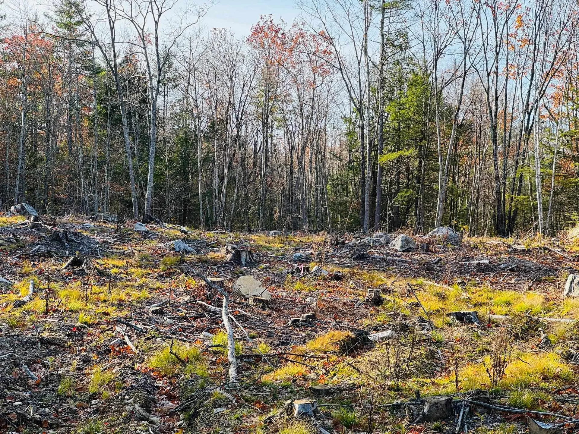 Lot 70 Homestead Lane Barrington NH 03825