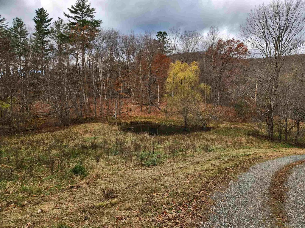 1266 Little Village Road Danby VT 05761