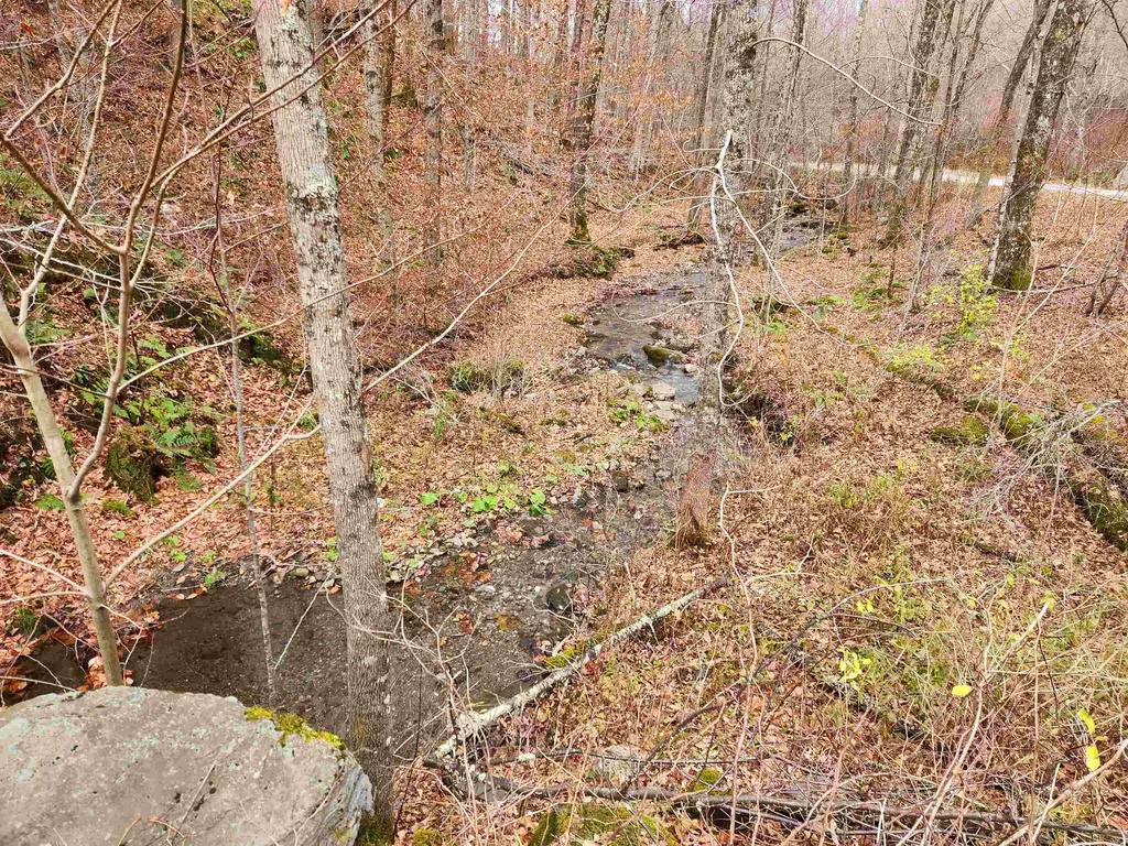 1266 Little Village Road Danby VT 05761