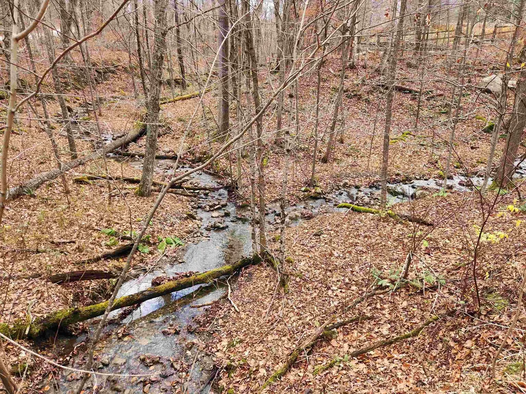 1266 Little Village Road Danby VT 05761