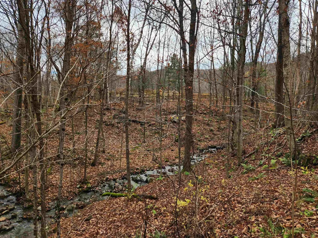 1266 Little Village Road Danby VT 05761