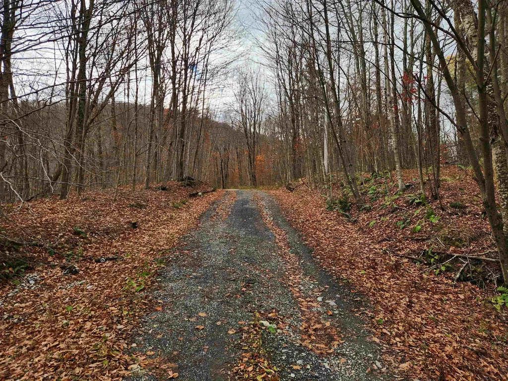 1266 Little Village Road Danby VT 05761