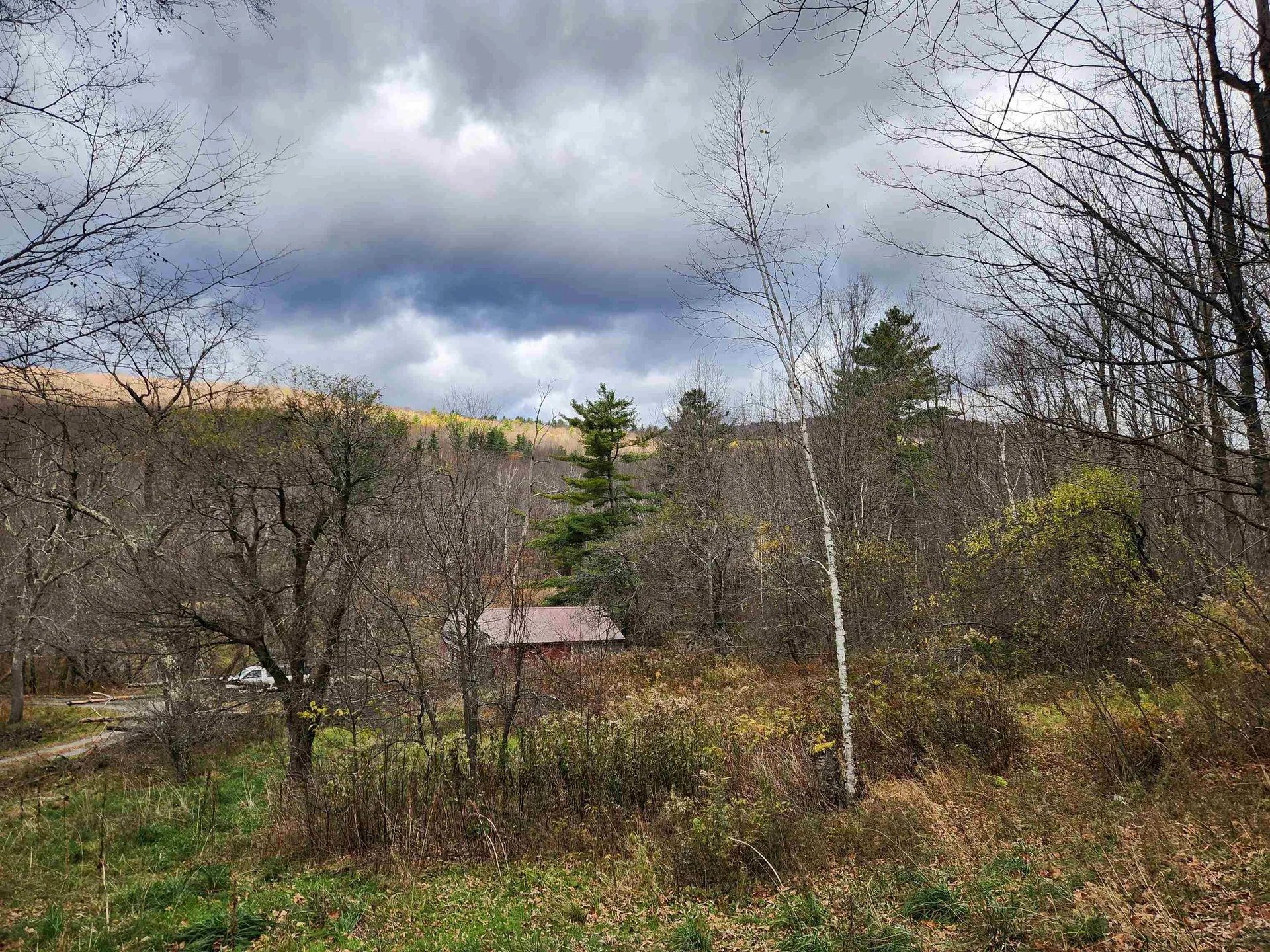 1266 Little Village Road Danby VT 05761