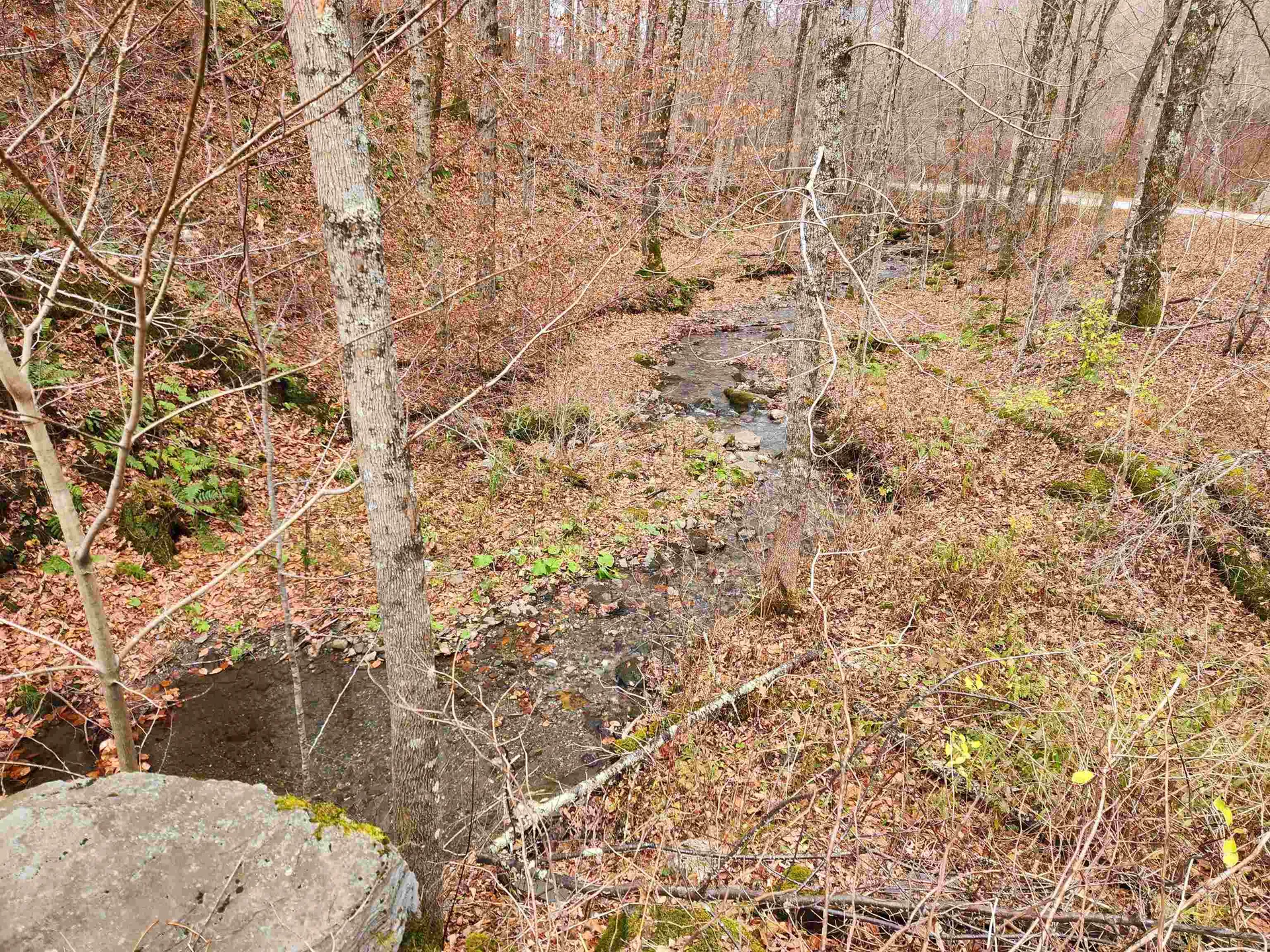 1266 Little Village Road Danby VT 05761