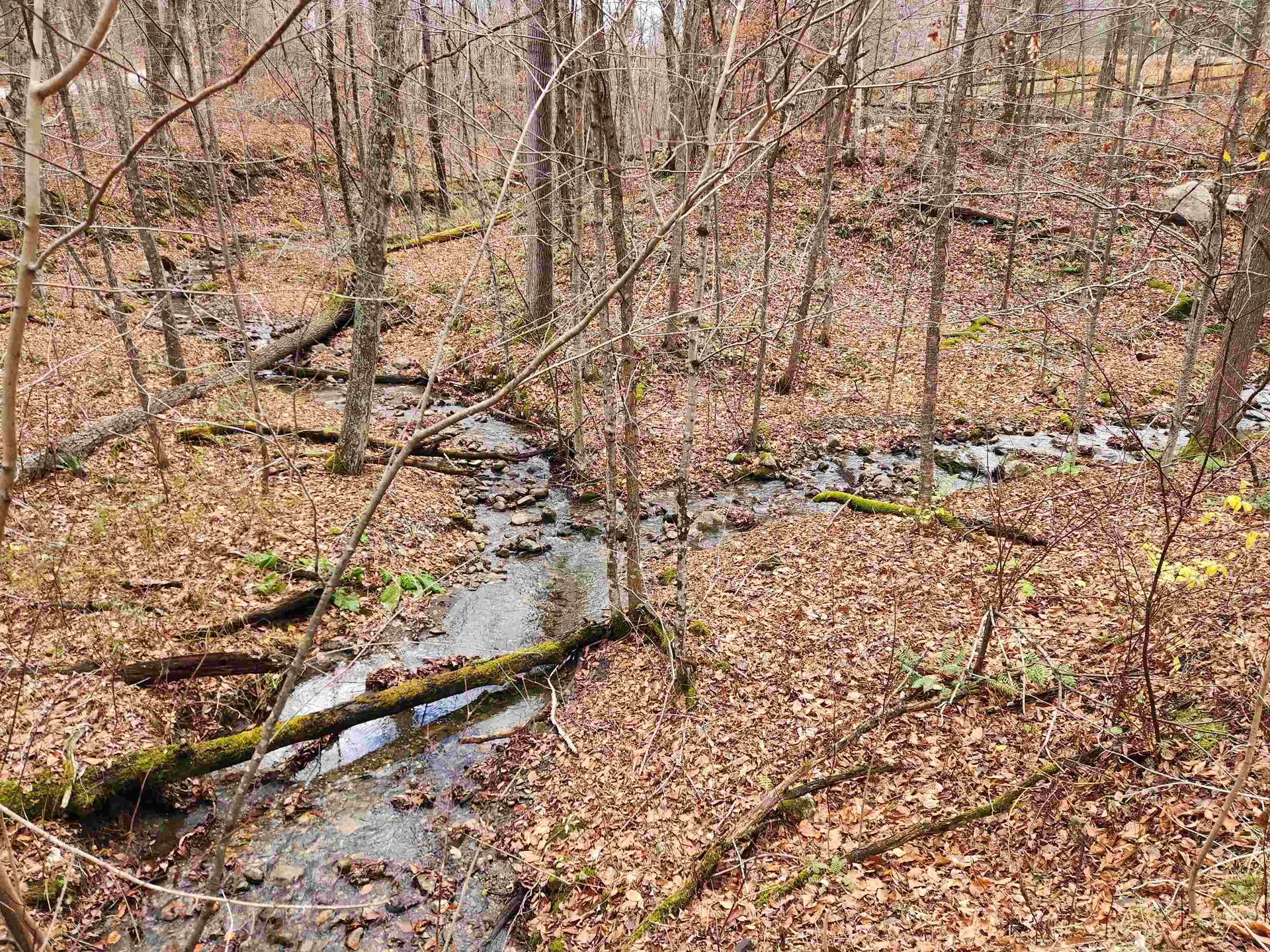 1266 Little Village Road Danby VT 05761