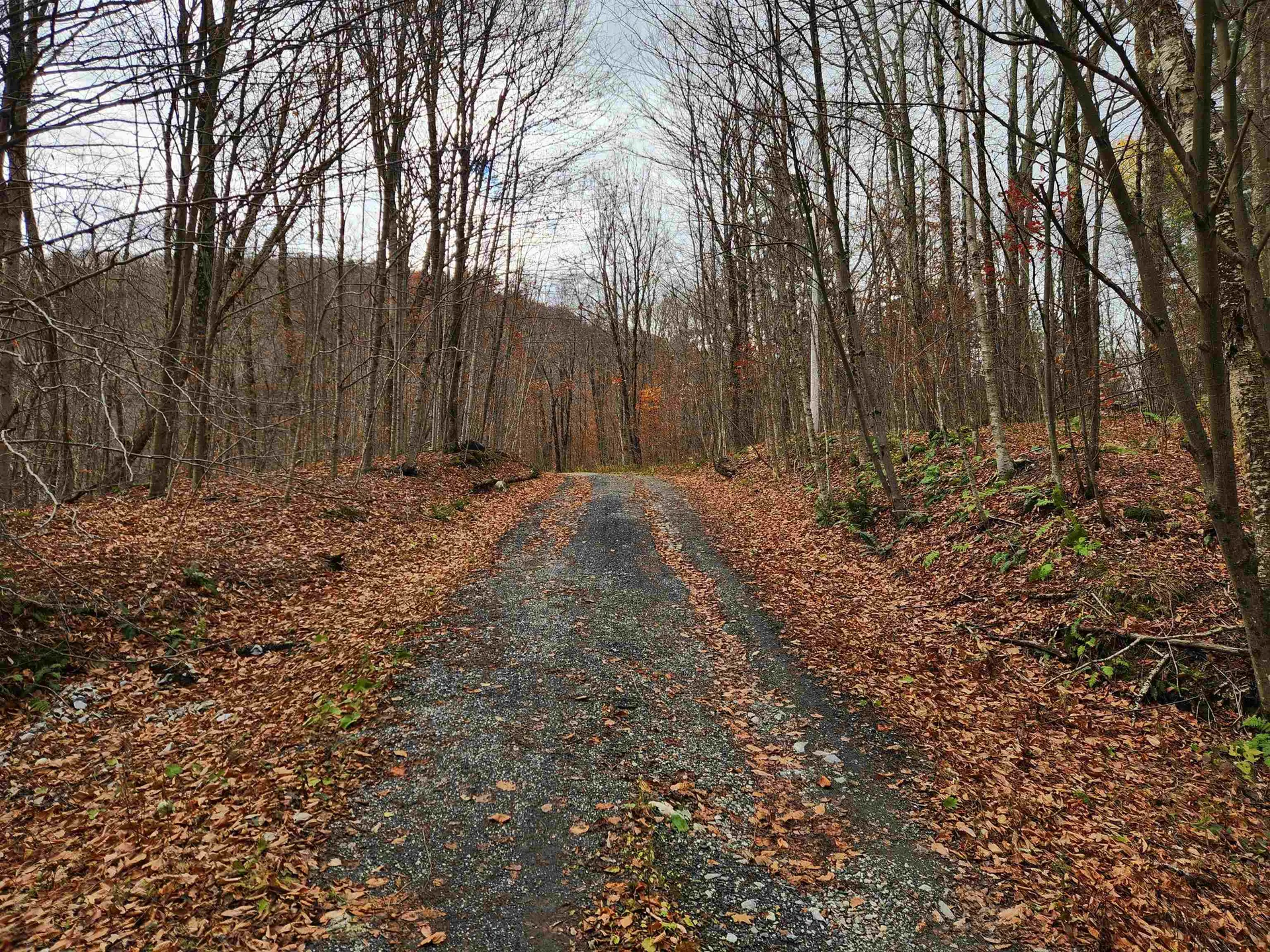 1266 Little Village Road Danby VT 05761