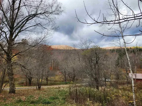 1266 Little Village Road Danby VT 05761