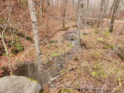 1266 Little Village Road Danby VT 05761