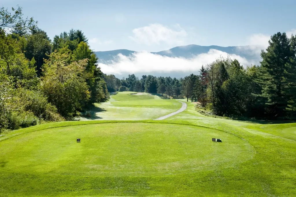 55 Village Green Drive Stowe VT 05672
