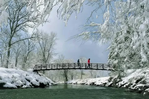 55 Village Green Drive Stowe VT 05672