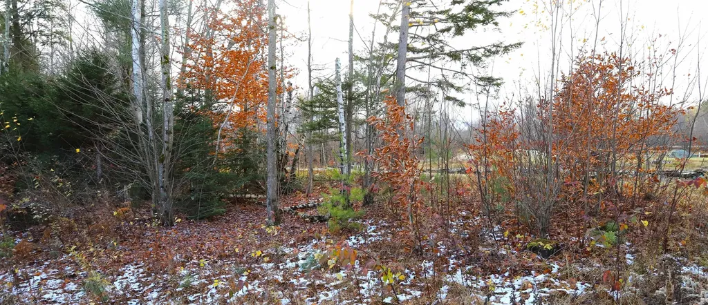 Tbd Sargents Way Jay VT 05859