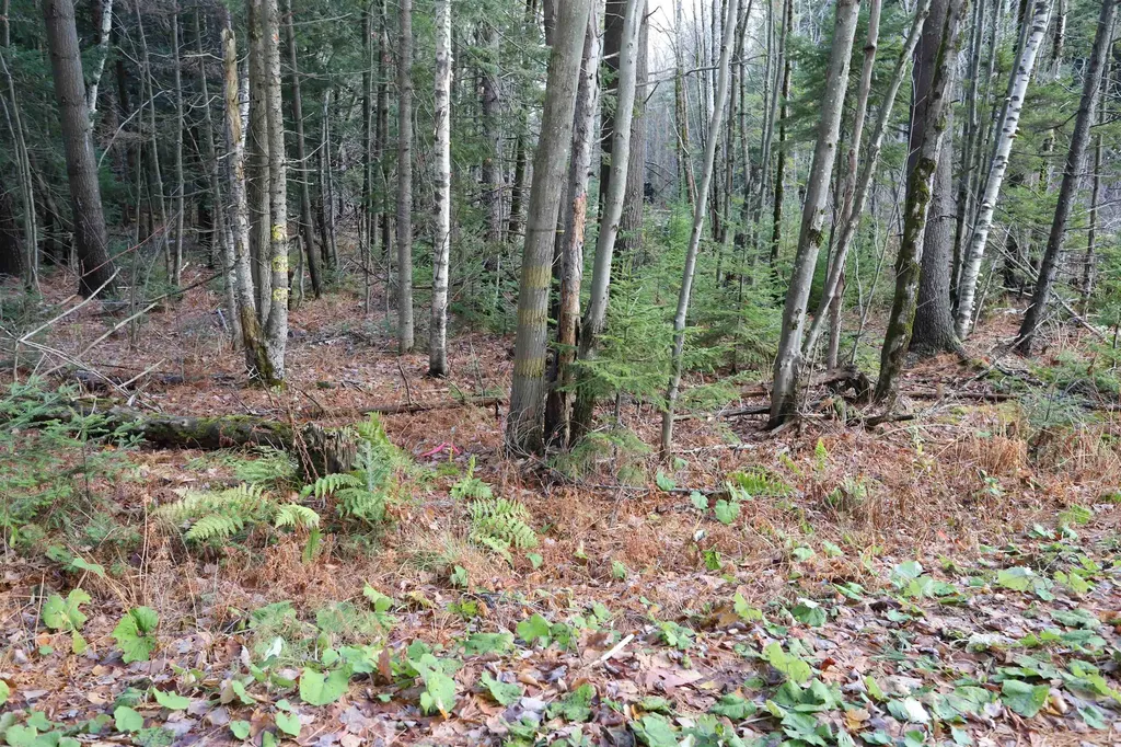 Tbd Sargents Way Jay VT 05859