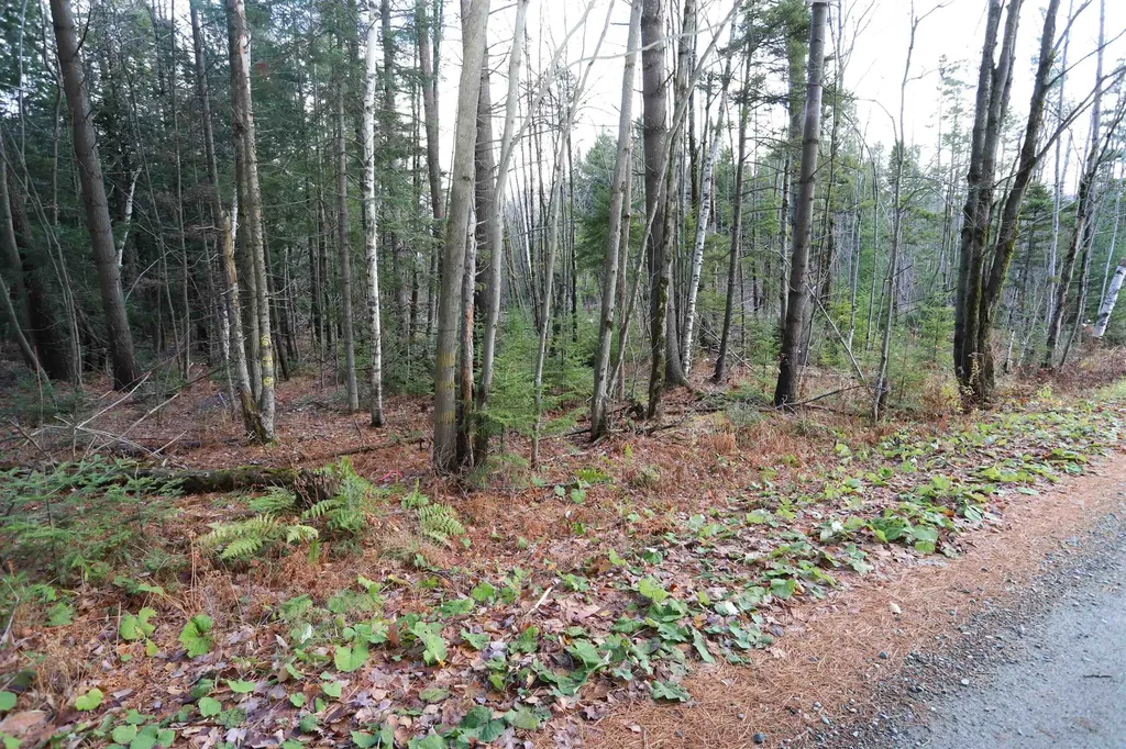 Tbd Sargents Way Jay VT 05859