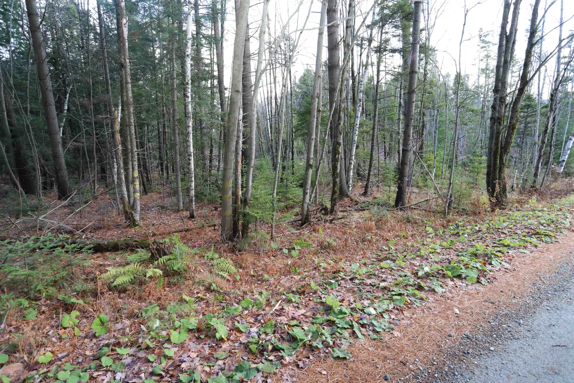 Tbd Sargents Way Jay VT 05859