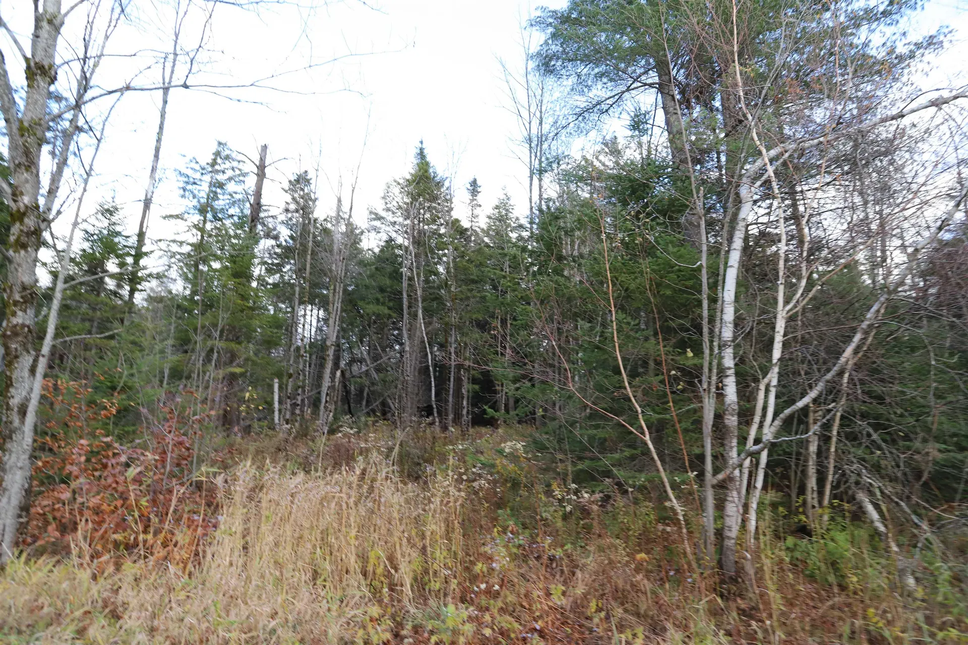 Tbd Sargents Way Jay VT 05859